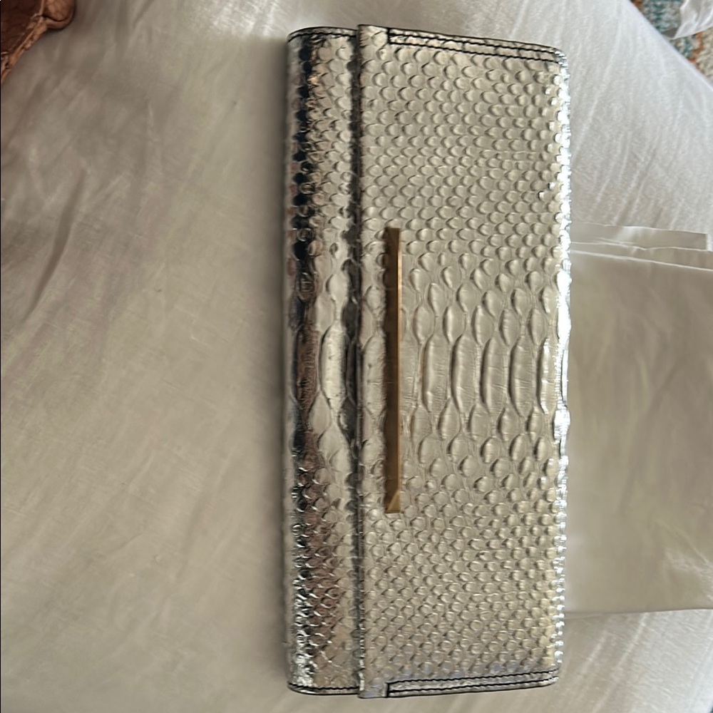 Silver Snakeskin Clutch